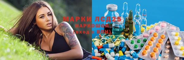 прущие грибы Арсеньев