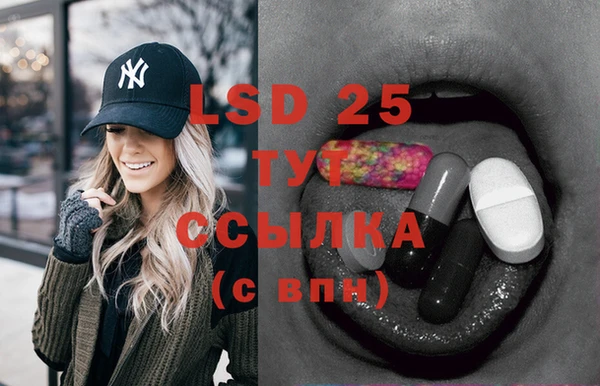 молекула духа Аркадак