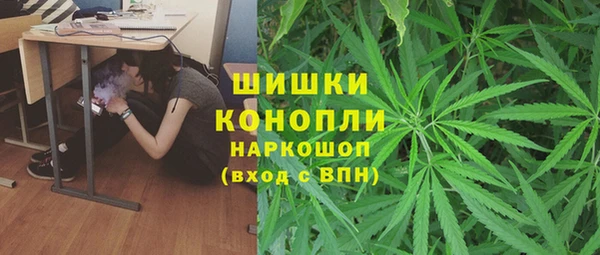 прущие грибы Арсеньев